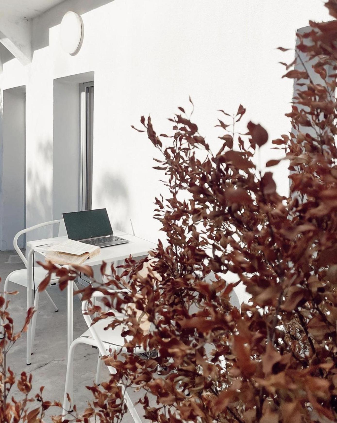 Ferienwohnung Cozy Lisbon Graça Exterior foto